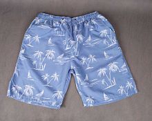 Плавательные шорты мужские голубые  в интернет-магазине todalamoda